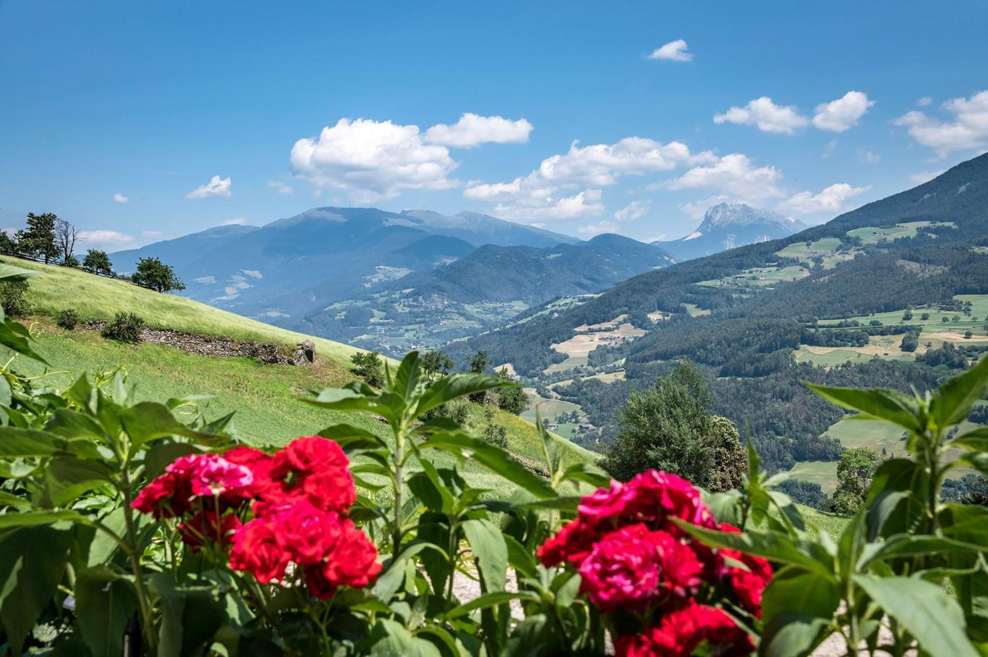Hauserhof Chalet In Villanders - Moderne Wohnungen Mit 2 Badezimmer Und 2 Schlafzimmer Buitenkant foto